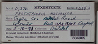 Image Associated With the Occurence